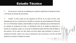 Estudio Técnico
 