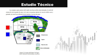 Estudio Técnico
 