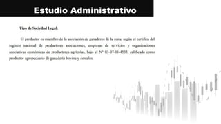 Estudio Administrativo
 