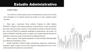 Estudio Administrativo
 