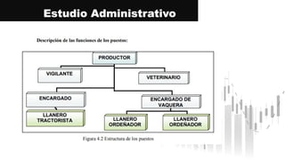 Estudio Administrativo
 