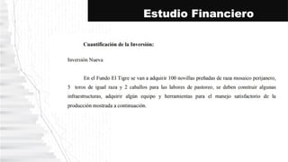 Estudio Financiero
 
