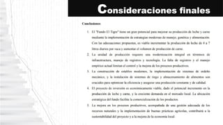 Consideraciones finales
 