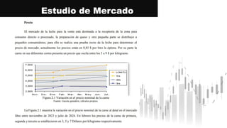 Estudio de Mercado
 