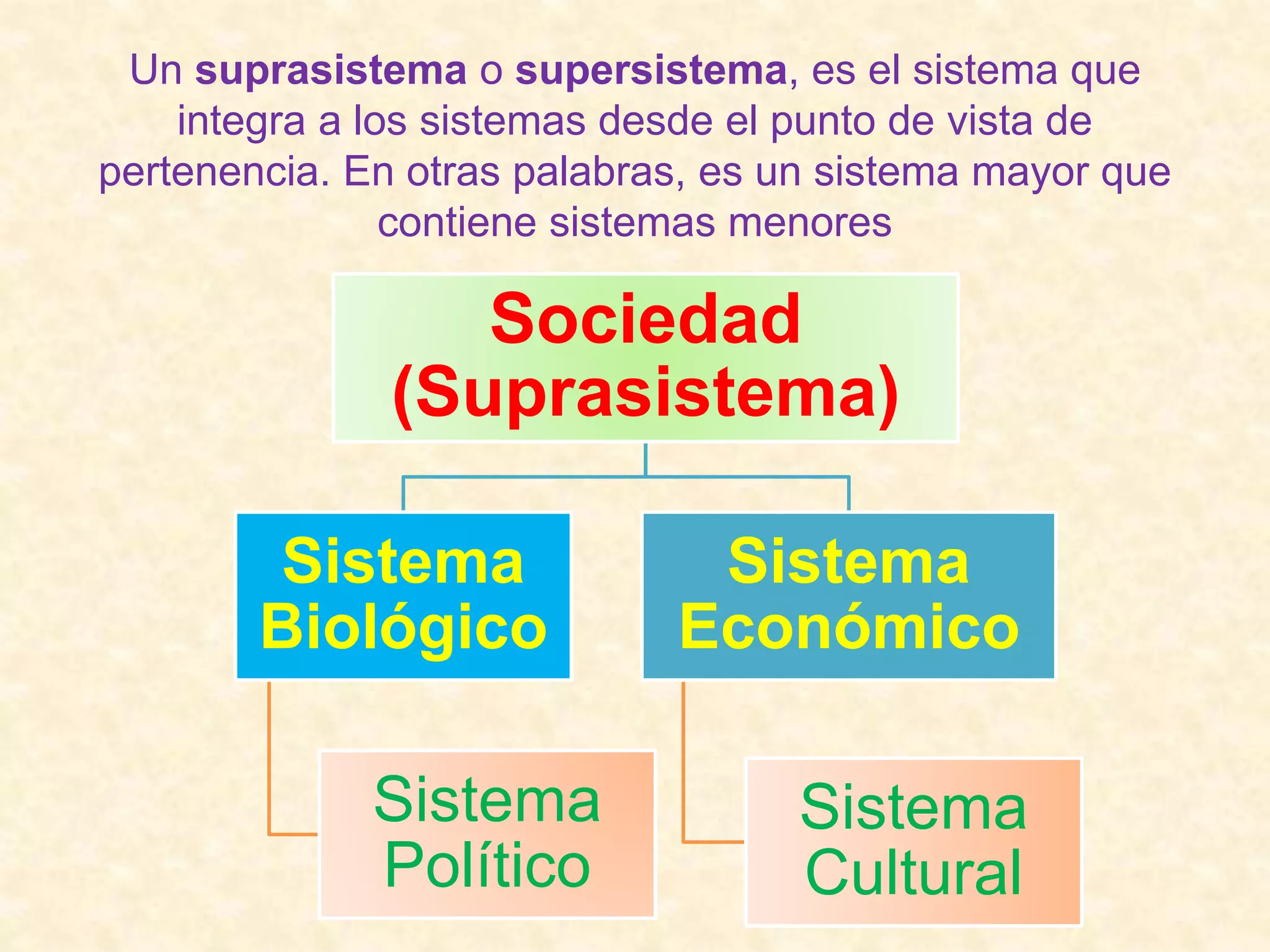 Supersistema | atelier-yuwa.ciao.jp