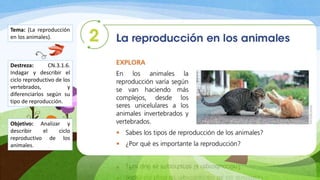 Destreza: CN.3.1.6.
Indagar y describir el
ciclo reproductivo de los
vertebrados, y
diferenciarlos según su
tipo de reproducción.
Tema: (La reproducción
en los animales).
Objetivo: Analizar y
describir el ciclo
reproductivo de los
animales.
 