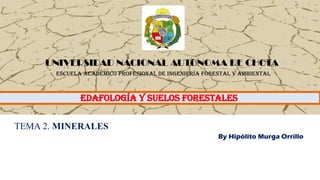 EDAFOLOGÍA Y SUELOS FORESTALES
By Hipólito Murga Orrillo
UNIVERSIDAD NACIONAL AUTONOMA DE CHOTA
ESCUELA ACADÉMICO PROFESIONAL DE INGENIERÍA FORESTAL Y AMBIENTAL
TEMA 2. MINERALES
 