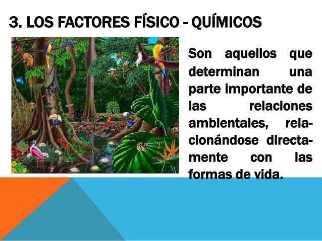 Clase 02 factores ambientales