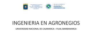 INGENIERIA EN AGRONEGIOS
UNIVERSIDAD NACIONAL DE CAJAMARCA – FILIAL BAMBAMARCA
 