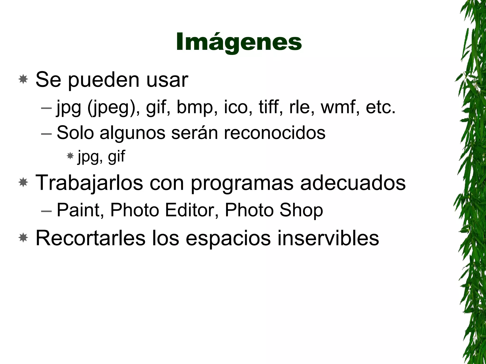 Imágenes Se pueden usar jpg (jpeg), gif, bmp, ico, tiff, rle, wmf, etc. Solo algunos serán reconocidos jpg, gif Trabajarlos con programas adecuados Paint, Photo Editor, Photo Shop Recortarles los espacios inservibles 