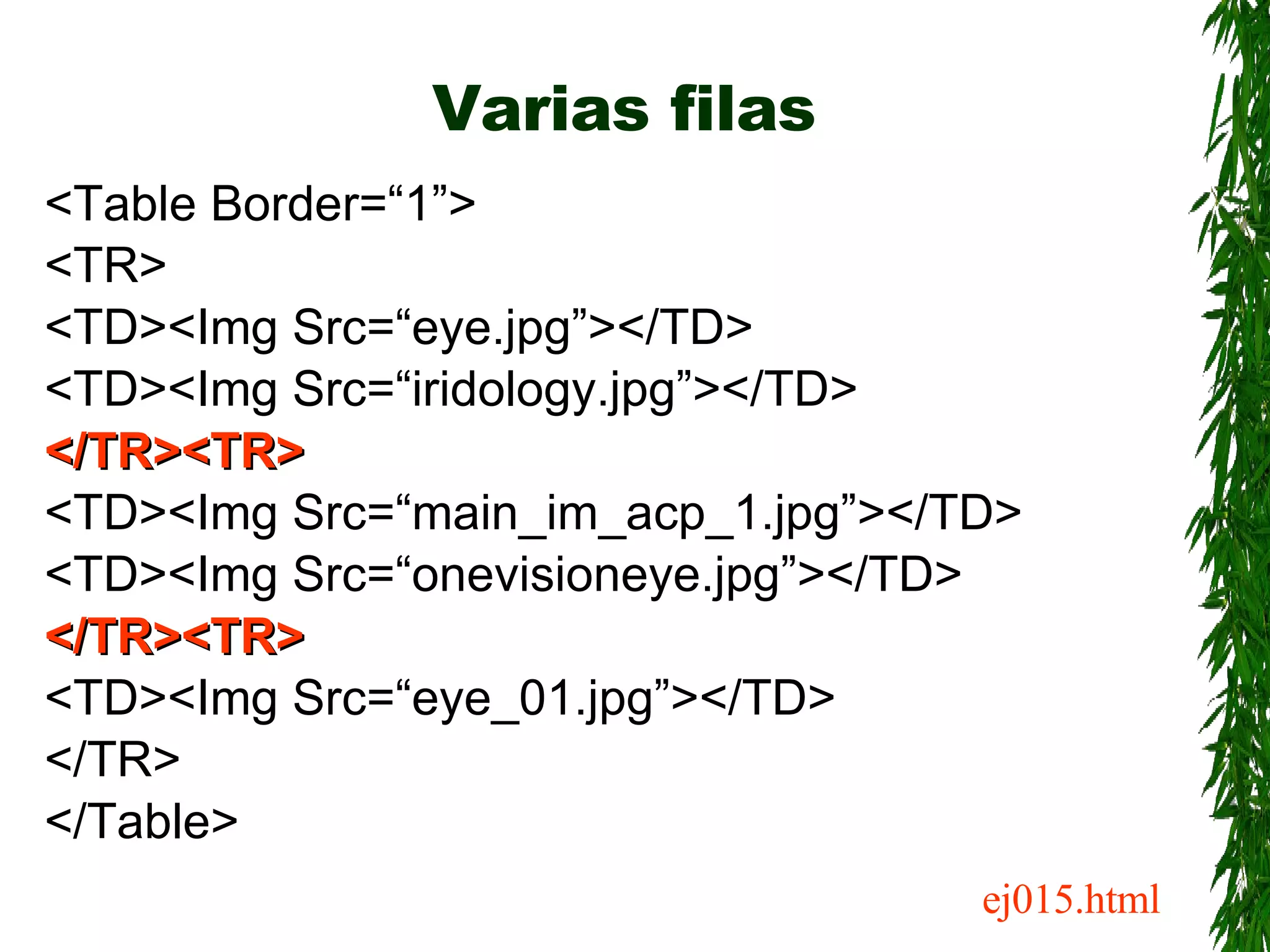 Varias filas <Table Border=“1”> <TR> <TD><Img Src=“eye.jpg”></TD> <TD><Img Src=“iridology.jpg”></TD> </TR><TR> <TD><Img Src=“main_im_acp_1.jpg”></TD> <TD><Img Src=“onevisioneye.jpg”></TD> </TR><TR> <TD><Img Src=“eye_01.jpg”></TD> </TR> </Table> ej015.html 