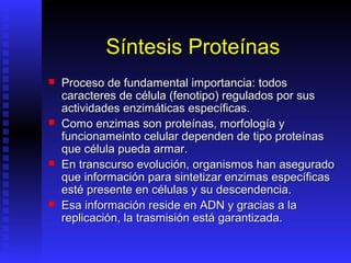 Síntesis Proteínas
   Proceso de fundamental importancia: todos
    caracteres de célula (fenotipo) regulados por sus
    actividades enzimáticas específicas.
   Como enzimas son proteínas, morfología y
    funcionameinto celular dependen de tipo proteínas
    que célula pueda armar.
   En transcurso evolución, organismos han asegurado
    que información para sintetizar enzimas específicas
    esté presente en células y su descendencia.
   Esa información reside en ADN y gracias a la
    replicación, la trasmisión está garantizada.
 