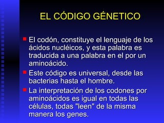 EL CÓDIGO GÉNETICO

 El codón, constituye el lenguaje de los
  ácidos nucléicos, y esta palabra es
  traducida a una palabra en el por un
  aminoácido.
 Este código es universal, desde las
  bacterias hasta el hombre.
 La interpretación de los codones por
  aminoácidos es igual en todas las
  células, todas "leen" de la misma
  manera los genes.
 