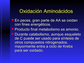 Oxidación Aminoácidos
 En peces, gran parte de AA se oxidan
  con fines energéticos.
 Producto final metabolismo es amonio.
 Durante catabolismo, aunque esqueleto
  de C puede ser usado para síntesis de
  otros compuestos nitrogenados,
  mayormente entra a ciclo de Krebs
  para ser oxidado.
 