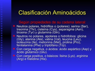 Clasificación Aminoácidos
     Según propiedades de su cadena lateral:
   Neutros polares, hidrófilos o (polares): serina (Ser),
    treonina (Thr), cisteína (Cys), asparagina (Asn),
    tirosina (Tyr) y glutamina (Gln).
   Neutros no polares, apolares o hidrófobos: glicina
    (Gly), alanina (Ala), valina (Val), leucina (Leu),
    isoleucina (Ile), metionina (Met), prolina (Pro),
    fenilalanina (Phe) y triptófano (Trp).
   Con carga negativa, o ácidos: ácido aspártico (Asp) y
    ácido glutámico (Glu).
   Con carga positiva, o básicos: lisina (Lys), arginina
    (Arg) e histidina (His).
 