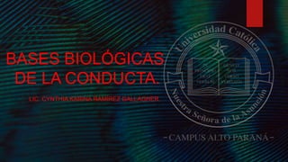 BASES BIOLÓGICAS
DE LA CONDUCTA.
LIC. CYNTHIA KARINA RAMÍREZ GALLAGHER.
 
