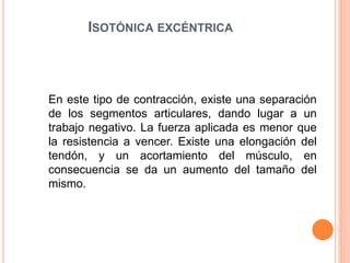 ISOTÓNICA EXCÉNTRICA
En este tipo de contracción, existe una separación
de los segmentos articulares, dando lugar a un
trabajo negativo. La fuerza aplicada es menor que
la resistencia a vencer. Existe una elongación del
tendón, y un acortamiento del músculo, en
consecuencia se da un aumento del tamaño del
mismo.
 