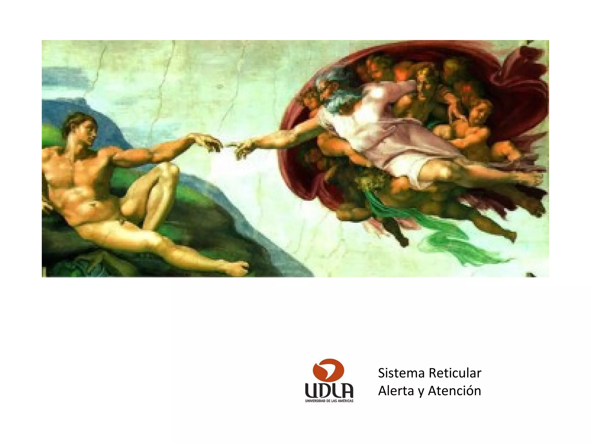 Clase 03 sistema reticular, alerta y atención (1) PPT