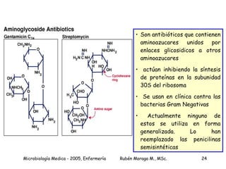 Son antibióticos que contienen aminoazucares unidos por enlaces glicosidicos a otros aminoazucares actúan inhibiendo la síntesis de proteínas en la subunidad 30S del ribosoma Se usan en clínica contra las bacterias Gram Negativas Actualmente ninguno de estos se utiliza en forma generalizada. Lo han reemplazado las penicilinas semisintéticas 