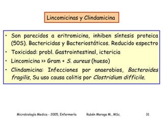 Lincomicinas y Clindamicina  Son parecidos a eritromicina, inhiben síntesis proteica (50S). Bactericidas y Bacteriostáticos. Reducido espectro  Toxicidad: probl. Gastrointestinal, ictericia Lincomicina >> Gram +  S. aureus  (hueso) Clindamicina: Infecciones por anaerobios,  Bacteroides fragilis , Su uso causa colitis por  Clostridium difficile . 