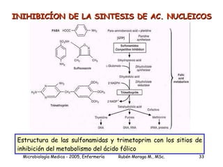 INIHIBICÍON DE LA SINTESIS DE AC. NUCLEICOS Estructura de las sulfonamidas y trimetoprim con los sitios de inhibición del metabolismo del ácido fólico 