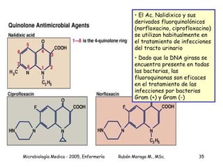 El Ac. Nalidixico y sus derivados fluorquinolónicos  (norfloxacino, ciprofloxacino) se utilizan habitualmente en el tratamiento de infecciones del tracto urinario Dado que la DNA girasa se encuentra presente en todas las bacterias, las fluoroquinonas son eficaces en el tratamiento de las infecciones por bacterias Gram (+) y Gram (-) 