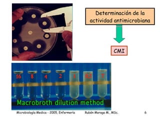 Determinación de la actividad antimicrobiana CMI 