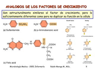 ANALOGOS DE LOS FACTORES DE CRECIMIENTO Son estructuralmente similares al factor de crecimiento, pero lo suficientemente diferentes como para no duplicar su función en la célula 