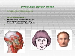 Etapas de la Evaluación Neurológica.ppt