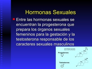 Hormonas Sexuales
   Entre las hormonas sexuales se
    encuentran la progesterona que
    prepara los órganos sexuales
    femeninos para la gestación y la
    testosterona responsable de los
    caracteres sexuales masculinos
 