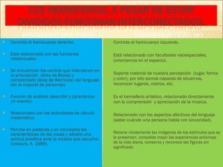 Controla el hemicuerpo derecho. Está relacionado con las funciones intelectuales. Se encuentran los centros que intervienen en la articulación  (área de Broca) y comprensión (área de Wernicke) del lenguaje (en la mayoría de personas). Función de análisis (describir y caracterizar un evento). Relacionado con las actividades de cálculo matemático. Percibe en palabras y en conceptos las características de las cosas y adopta una actitud analítica ante la música que escucha. (Lecours, A. 1989). Controla el hemicuerpo izquierdo. Está relacionado con facultades visoespaciales,  (orientarnos en el espacio). Soporte material de nuestra percepción  (lugar, forma y color), por ello somos capaces de situarnos, reconocer lugares, rostros, etc. Es el hemisferio artístico, relacionado directamente con la comprensión  y apreciación de la música. Relacionado con los aspectos afectivos del lenguaje (saber cuándo una persona habla con sinceridad). Retiene vívidamente las imágenes de los estímulos que se le presentan, consolida mejor las experiencias próximas de la vida diaria, conserva y reconoce las figuras sin significado . HEMISFERIO IZQUIERDO HEMISFERIO DERECHO 