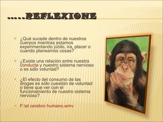 … ..REFLEXIONE ¿Qué sucede dentro de nuestros cuerpos mientras estamos experimentando júbilo, ira, placer o cuando planeamos cosas? ¿Existe una relación entre nuestra  conducta  y nuestro sistema nervioso o es sólo voluntad? ¿El efecto del consumo de las drogas es sólo cuestión de voluntad o tiene que ver con el funcionamiento de nuestro sistema nervioso? F:\el cerebro humano.wmv 