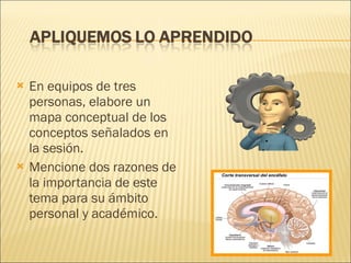 En equipos de tres personas, elabore un mapa conceptual de los conceptos señalados en la sesión. Mencione dos razones de la importancia de este tema para su ámbito personal y académico. 