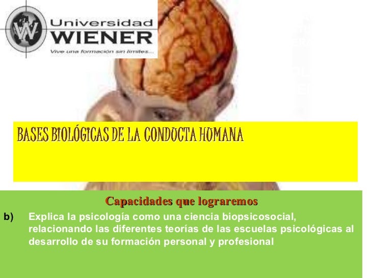 Clase 04 bases biologicas del comportamiento
