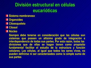 División estructural en células eucarióticas Sistema membranoso Organoides Citoesqueleto Citosol Núcleo Siempre debe tenerse en consideración que las células son sistemas que poseen un altísimo grado de integración e interdependencia de todas sus partes. Por esta razón, todas las  divisiones que de ellas se hagan tienen como propósito fundamental facilitar el estudio de la estructura y función celulares. Las células, al igual que todos los seres vivos, no pueden definirse ni ser caracterizados como la simple suma de sus partes 
