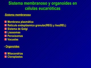 Sistema membranoso y organoides en células eucarióticas -  Sistema membranoso Membrana plasmática Retículo endoplásmico granular(REG) y liso(REL)  Sistema de Golgi  Lisosomas Peroxisomas Vacuolas -  Organoides Mitocondrias Cloroplastos 