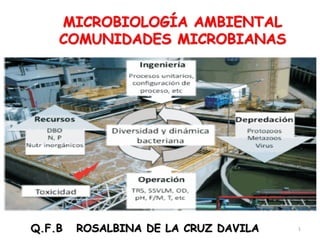 MICROBIOLOGÍA AMBIENTAL
COMUNIDADES MICROBIANAS
1Q.F.B ROSALBINA DE LA CRUZ DAVILA
 