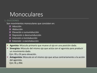1.-DUCCIONES
Son movimientos monoculares que consisten en:
Aducción
Abducción
Elevación o sursumducción
Depresión o deorsumducción
Intorsión o incicloducción
Extorsión o excicloducción
Agonista: Músculo primario que mueve al ojo en una posición dada.
Sinergista: Músculo del mismo ojo que actúa con el agonista para producir
un movimiento dado.
Ejm: RS y OI para elevación.
Antagonista: Músculo en el mismo ojo que actua contrariamente a la acción
del agonista.
Ejm: RL y RM.
Monoculares
 