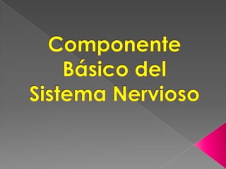 Componente Básico del Sistema Nervioso 