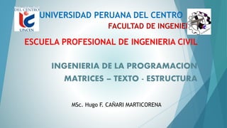 FACULTAD DE INGENIERIA
INGENIERIA DE LA PROGRAMACION
MATRICES – TEXTO - ESTRUCTURA
UNIVERSIDAD PERUANA DEL CENTRO
ESCUELA PROFESIONAL DE INGENIERIA CIVIL
MSc. Hugo F. CAÑARI MARTICORENA
 