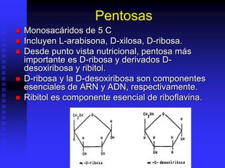Pentosas
 Monosacáridos de 5 C
 Incluyen L-arabisona, D-xilosa, D-ribosa.
 Desde punto vista nutricional, pentosa más
importante es D-ribosa y derivados D-
desoxiribosa y ribitol.
 D-ribosa y la D-desoxiribosa son componentes
esenciales de ARN y ADN, respectivamente.
 Ribitol es componente esencial de riboflavina.
 