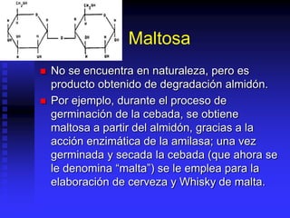 Maltosa
 No se encuentra en naturaleza, pero es
producto obtenido de degradación almidón.
 Por ejemplo, durante el proceso de
germinación de la cebada, se obtiene
maltosa a partir del almidón, gracias a la
acción enzimática de la amilasa; una vez
germinada y secada la cebada (que ahora se
le denomina “malta”) se le emplea para la
elaboración de cerveza y Whisky de malta.
 