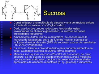 Sucrosa
 Constituída por una molécula de glucosa y una de fructosa unidas
a través de un enlace α-1-β-2-glucosídico.
 Dado que los dos grupos reductores funcionales están
involucrados en el enlace glucosídico, la sucrosa no posee
propiedades reductoras.
 Ampliamente distribuida en la naturaleza, se encuentra en la
mayoría de las plantas; entre las fuentes ricas en sucrosa se
incluyen al azúcar de caña (20% de sucrosa), azúcar de remolacha
(15–20%) y zanahorias.
 Es azúcar utilizada a nivel doméstico para endulzar alimentos en
casa. Cuando la sucrosa es 200°C forma caramelo
 Melazas son líquidos viscosos (20–30% de humedad), de color
obscuro, de los que no se puede extraer más sucrosa mediante
procesos de cristalización, debido a la presencia de cantidades
apreciables de azúcares reductores (p. ej. glucosa) e impurezas.
 