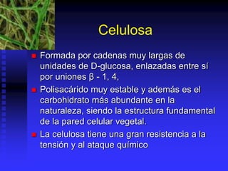 Celulosa
 Formada por cadenas muy largas de
unidades de D-glucosa, enlazadas entre sí
por uniones β - 1, 4,
 Polisacárido muy estable y además es el
carbohidrato más abundante en la
naturaleza, siendo la estructura fundamental
de la pared celular vegetal.
 La celulosa tiene una gran resistencia a la
tensión y al ataque químico
 
