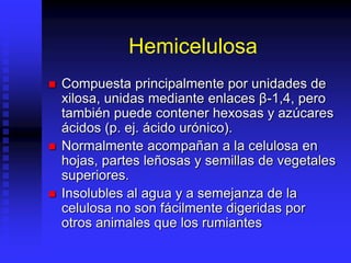 Hemicelulosa
 Compuesta principalmente por unidades de
xilosa, unidas mediante enlaces β-1,4, pero
también puede contener hexosas y azúcares
ácidos (p. ej. ácido urónico).
 Normalmente acompañan a la celulosa en
hojas, partes leñosas y semillas de vegetales
superiores.
 Insolubles al agua y a semejanza de la
celulosa no son fácilmente digeridas por
otros animales que los rumiantes
 