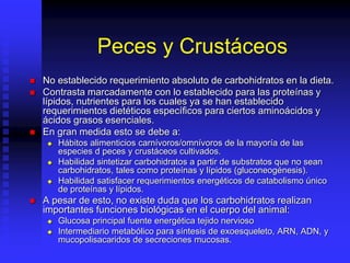Peces y Crustáceos
 No establecido requerimiento absoluto de carbohidratos en la dieta.
 Contrasta marcadamente con lo establecido para las proteínas y
lípidos, nutrientes para los cuales ya se han establecido
requerimientos dietéticos específicos para ciertos aminoácidos y
ácidos grasos esenciales.
 En gran medida esto se debe a:
 Hábitos alimenticios carnívoros/omnívoros de la mayoría de las
especies d peces y crustáceos cultivados.
 Habilidad sintetizar carbohidratos a partir de substratos que no sean
carbohidratos, tales como proteínas y lípidos (gluconeogénesis).
 Habilidad satisfacer requerimientos energéticos de catabolismo único
de proteínas y lípidos.
 A pesar de esto, no existe duda que los carbohidratos realizan
importantes funciones biológicas en el cuerpo del animal:
 Glucosa principal fuente energética tejido nervioso
 Intermediario metabólico para síntesis de exoesqueleto, ARN, ADN, y
mucopolisacaridos de secreciones mucosas.
 