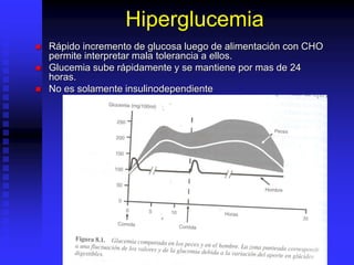 Hiperglucemia
 Rápido incremento de glucosa luego de alimentación con CHO
permite interpretar mala tolerancia a ellos.
 Glucemia sube rápidamente y se mantiene por mas de 24
horas.
 No es solamente insulinodependiente
 
