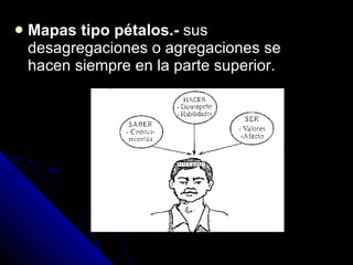 Mapas tipo pétalos.-  sus desagregaciones o agregaciones se hacen siempre en la parte superior. 
