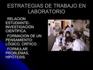ESTRATEGIAS DE TRABAJO EN LABORATORIO RELACION ESTUDIANTE- INVESTIGACIÓN CIENTÍFICA. FORMACION DE UN PENSAMIENTO: LÓGICO, CRÍTICO. FORMULAR PROBLEMAS, HIPÓTESIS. 