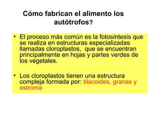 Cómo fabrican el alimento los
autótrofos?
• El proceso más común es la fotosíntesis que
se realiza en estructuras especializadas
llamadas cloroplastos, que se encuentran
principalmente en hojas y partes verdes de
los vegetales.
• Los cloroplastos tienen una estructura
compleja formada por: tilacoides, granas y
estroma
 
